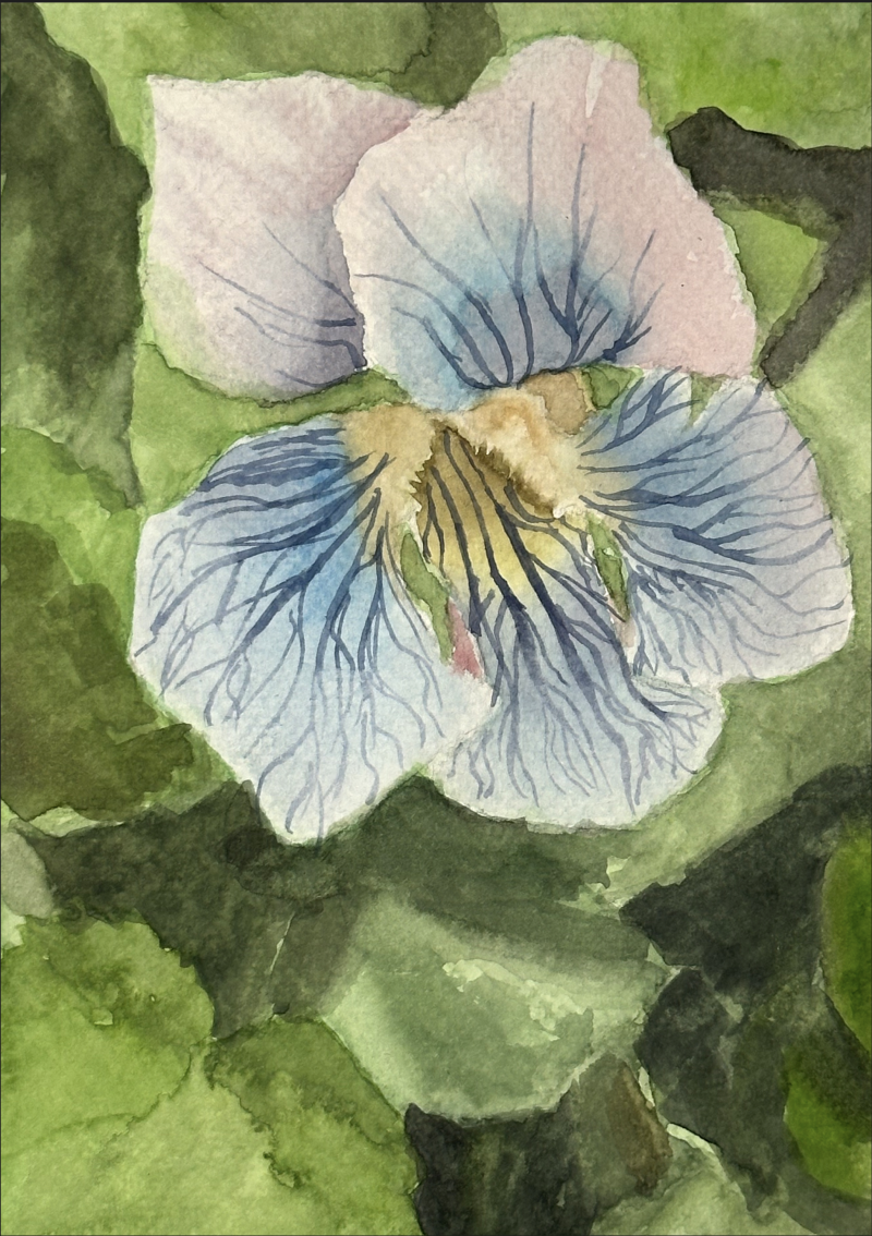 Petal Symphony